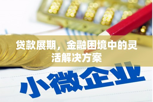 宜秀贷款展期，金融困境中的灵活解决方案