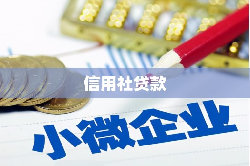 宜秀信用社贷款