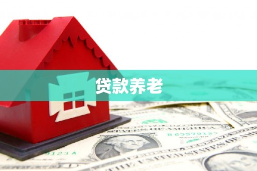宜秀贷款养老