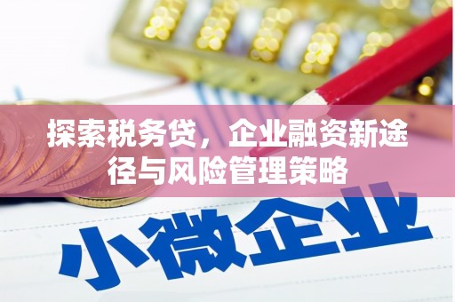 宜秀探索税务贷，企业融资新途径与风险管理策略