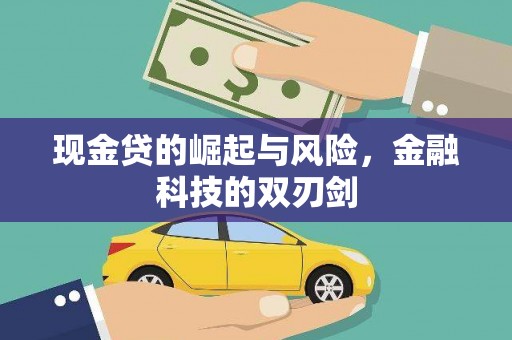 宜秀现金贷的崛起与风险，金融科技的双刃剑