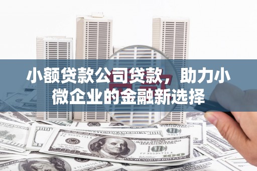 宜秀小额贷款公司贷款，助力小微企业的金融新选择