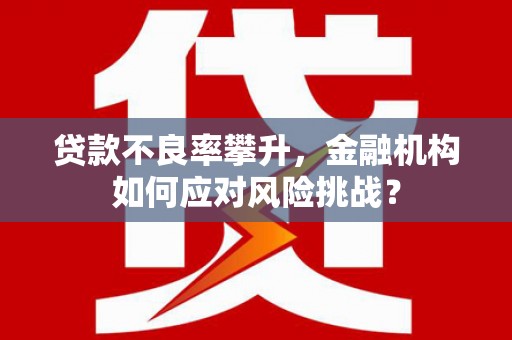 宜秀贷款不良率攀升，金融机构如何应对风险挑战？