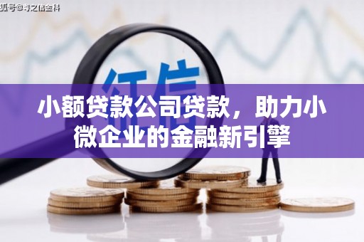 宜秀小额贷款公司贷款，助力小微企业的金融新引擎