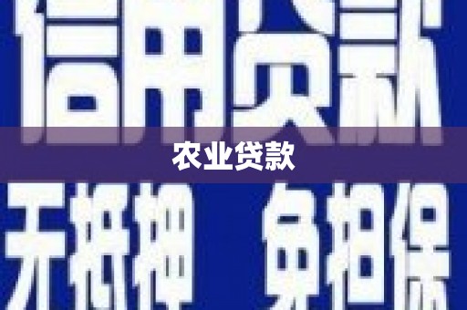 宜秀农业贷款