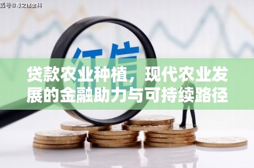 宜秀贷款农业种植，现代农业发展的金融助力与可持续路径