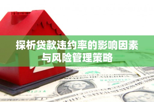 宜秀探析贷款违约率的影响因素与风险管理策略
