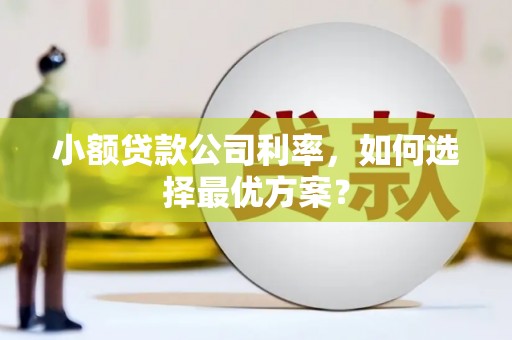 宜秀小额贷款公司利率，如何选择最优方案？