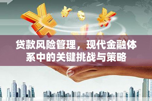宜秀贷款风险管理，现代金融体系中的关键挑战与策略