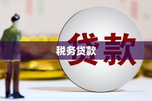 宜秀税务贷款