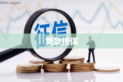 宜秀贷款担保