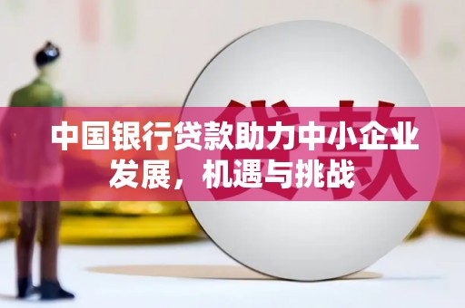 宜秀中国银行贷款助力中小企业发展，机遇与挑战