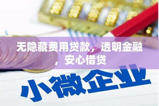 宜秀无隐藏费用贷款，透明金融，安心借贷