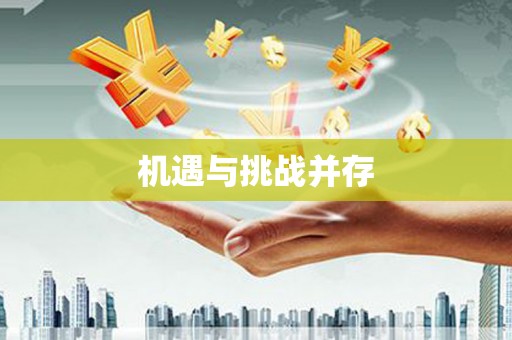 宜秀机遇与挑战并存