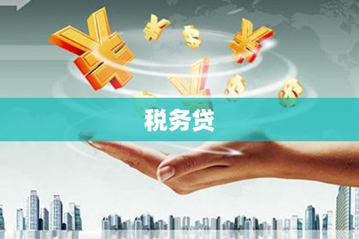 宜秀税务贷
