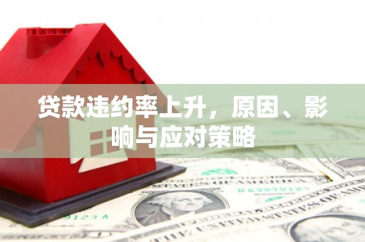 宜秀贷款违约率上升，原因、影响与应对策略