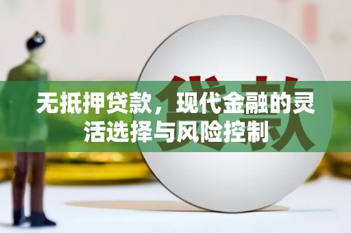 宜秀无抵押贷款，现代金融的灵活选择与风险控制