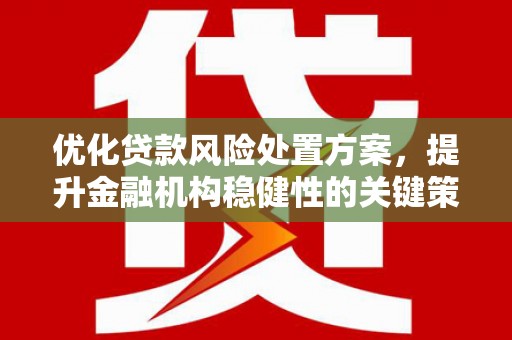 宜秀优化贷款风险处置方案，提升金融机构稳健性的关键策略