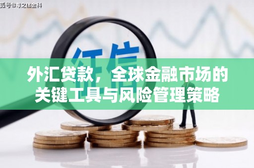 宜秀外汇贷款，全球金融市场的关键工具与风险管理策略