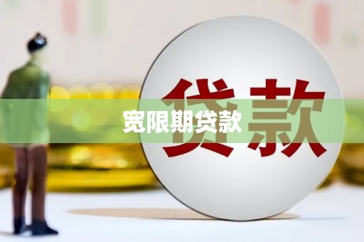 宜秀宽限期贷款