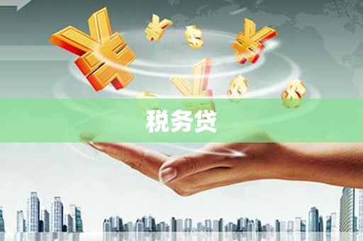 宜秀税务贷