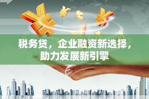 宜秀税务贷，企业融资新选择，助力发展新引擎