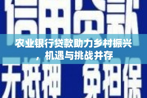 宜秀农业银行贷款助力乡村振兴，机遇与挑战并存