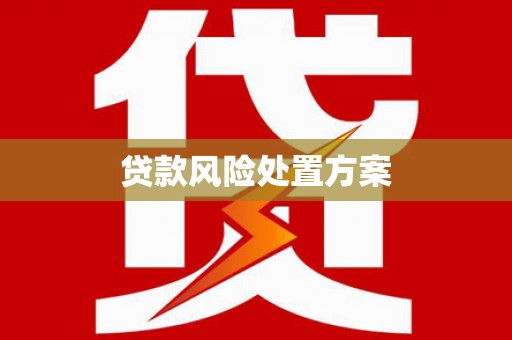 宜秀贷款风险处置方案
