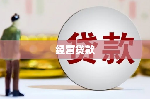 宜秀经营贷款