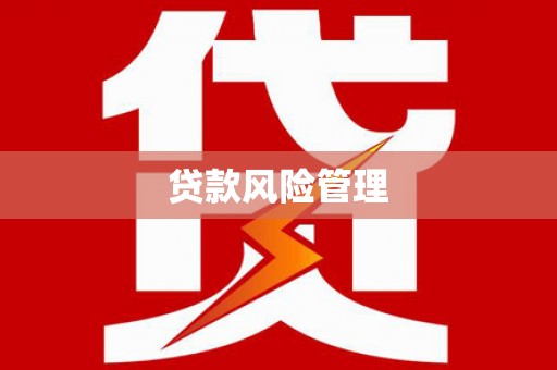 宜秀贷款风险管理