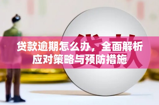 宜秀贷款逾期怎么办，全面解析应对策略与预防措施