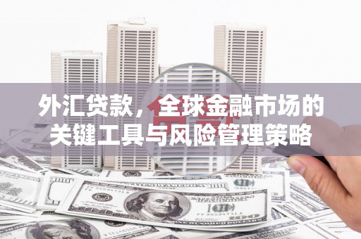 宜秀外汇贷款，全球金融市场的关键工具与风险管理策略
