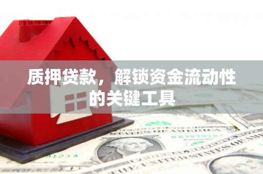 宜秀质押贷款，解锁资金流动性的关键工具