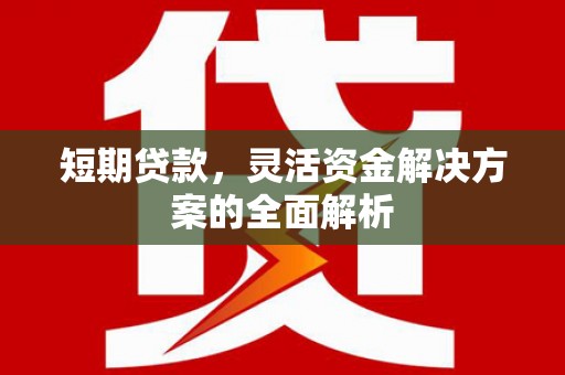 宜秀短期贷款，灵活资金解决方案的全面解析