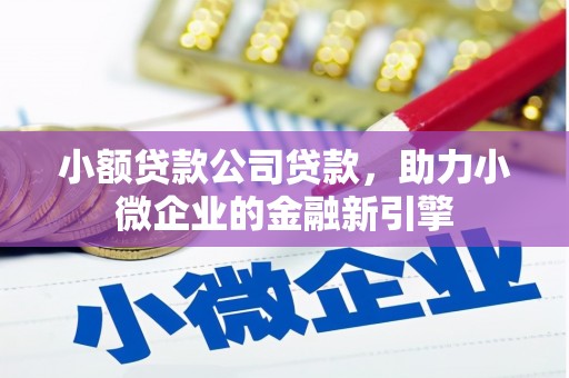 宜秀小额贷款公司贷款，助力小微企业的金融新引擎