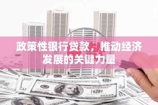 宜秀政策性银行贷款，推动经济发展的关键力量