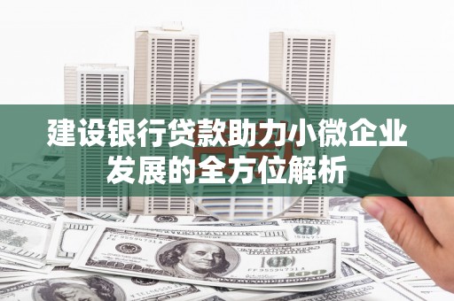 宜秀建设银行贷款助力小微企业发展的全方位解析