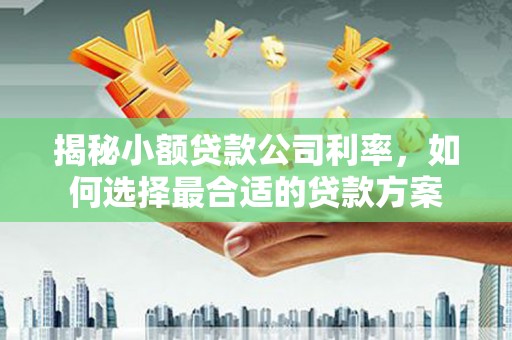 宜秀揭秘小额贷款公司利率，如何选择最合适的贷款方案