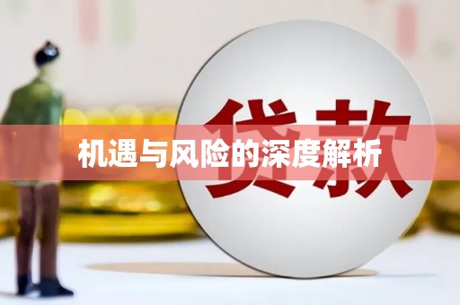 宜秀机遇与风险的深度解析