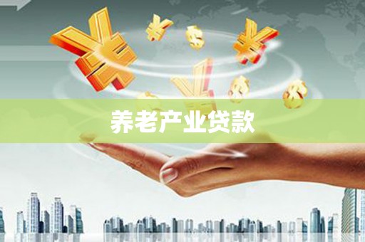 宜秀养老产业贷款