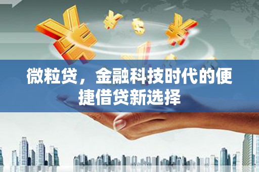 宜秀微粒贷，金融科技时代的便捷借贷新选择
