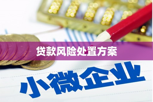 宜秀贷款风险处置方案