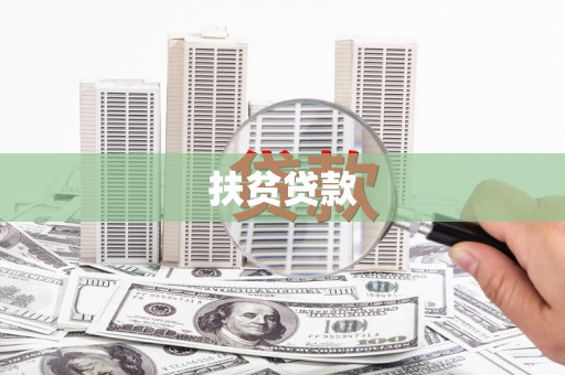 宜秀扶贫贷款
