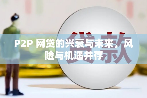 宜秀P2P 网贷的兴衰与未来，风险与机遇并存