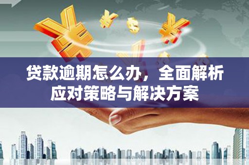 宜秀贷款逾期怎么办，全面解析应对策略与解决方案