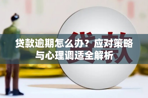 宜秀贷款逾期怎么办？应对策略与心理调适全解析
