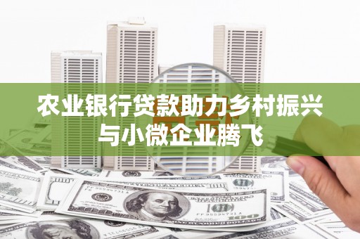 宜秀农业银行贷款助力乡村振兴与小微企业腾飞
