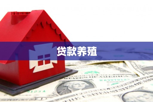 宜秀贷款养殖