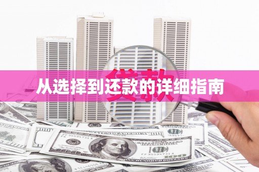 宜秀从选择到还款的详细指南