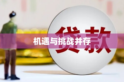 宜秀机遇与挑战并存